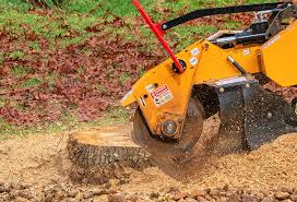 Best Emergency Tree Removal  in Mountain Green, UT